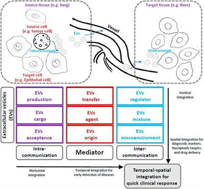 Multi-omics of extracellular vesicles: An integrative representation of functional mediators and perspectives on lung disease study